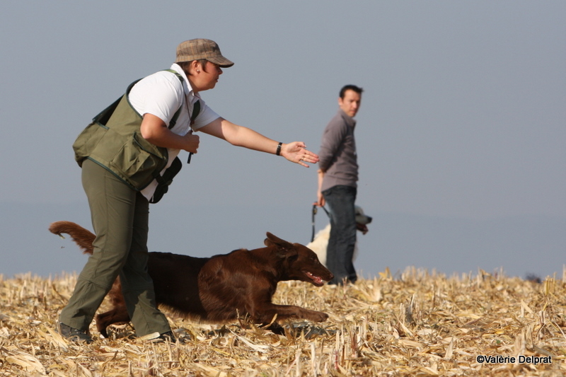 Field Erstein 09 (127).JPG